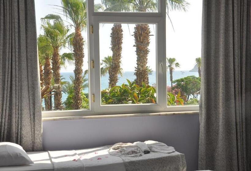 غرفة قياسية ثلاثية, Resitalya