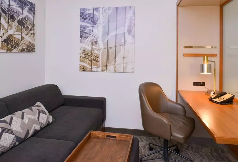 スタンダードスタジオ, Springhill Suites Durham Chapel Hill