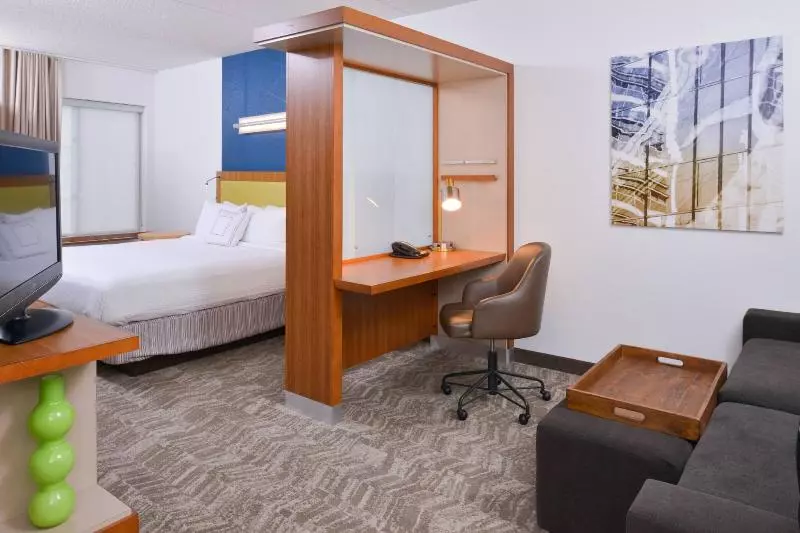 キングサイドベッドのスタンダードワンルーム, Springhill Suites Durham Chapel Hill