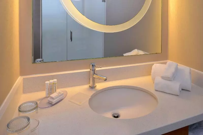 キングサイドベッドのスタンダードワンルーム, Springhill Suites Durham Chapel Hill