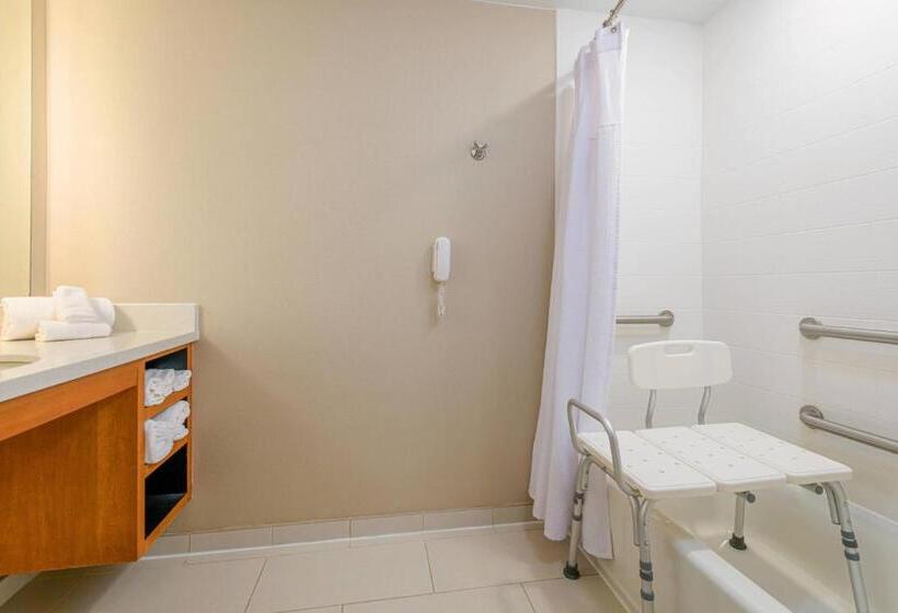 带大床的标准工作室, Springhill Suites Durham Chapel Hill