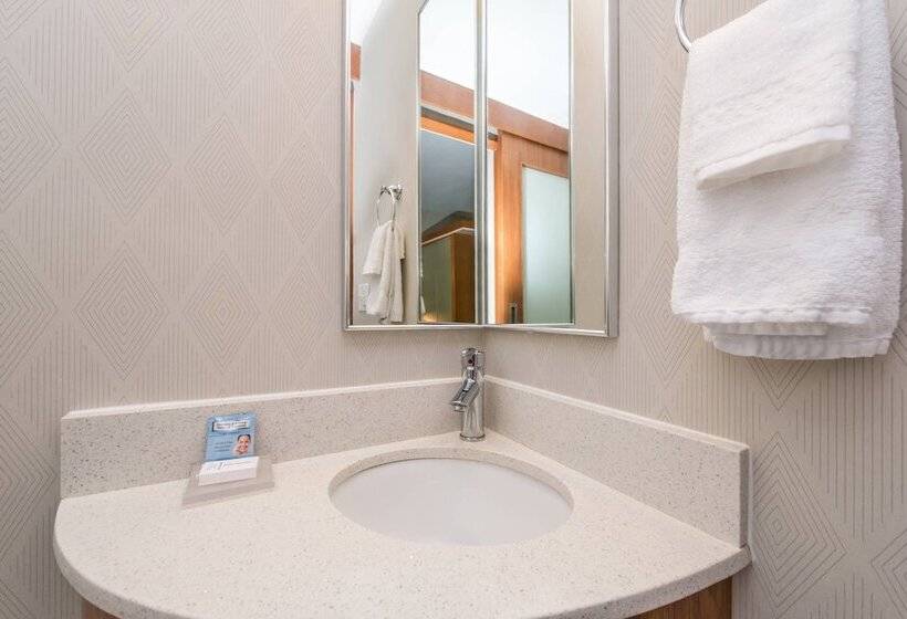 套房, Springhill Suites By Marriott Huntsville Downtown