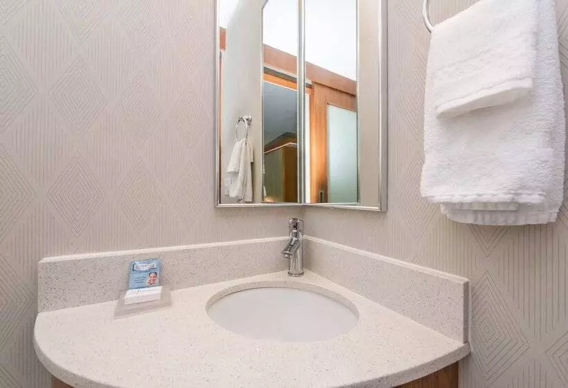 سوییت, Springhill Suites By Marriott Huntsville Downtown