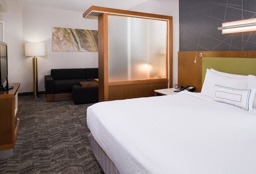 套房, Springhill Suites By Marriott Huntsville Downtown