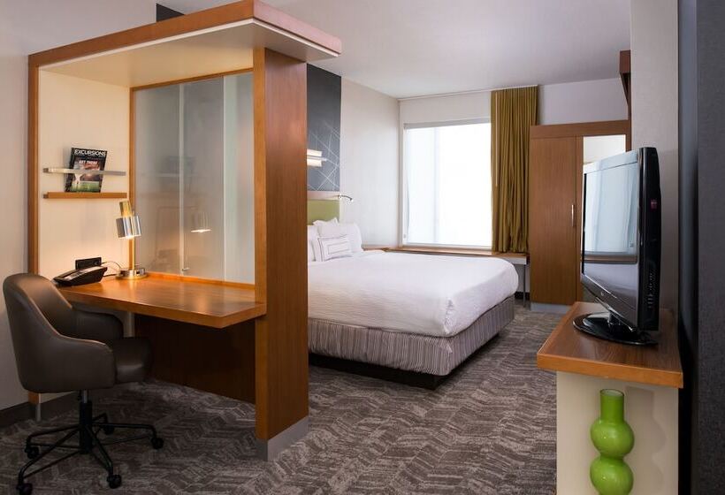套房, Springhill Suites By Marriott Huntsville Downtown