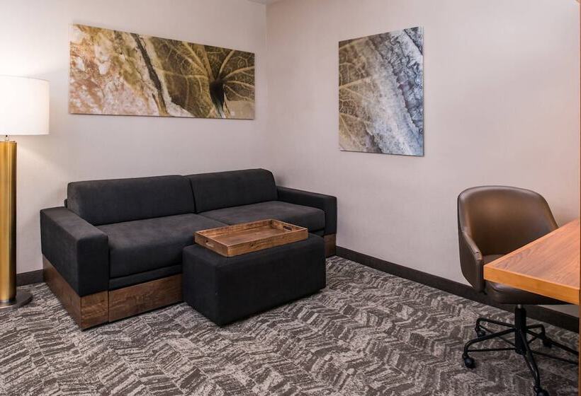 套房, Springhill Suites By Marriott Huntsville Downtown