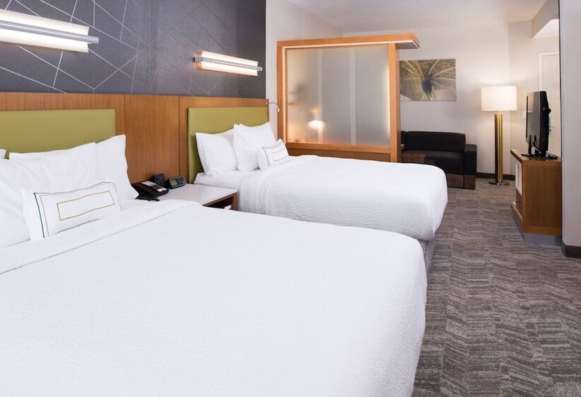 스위트, Springhill Suites By Marriott Huntsville Downtown