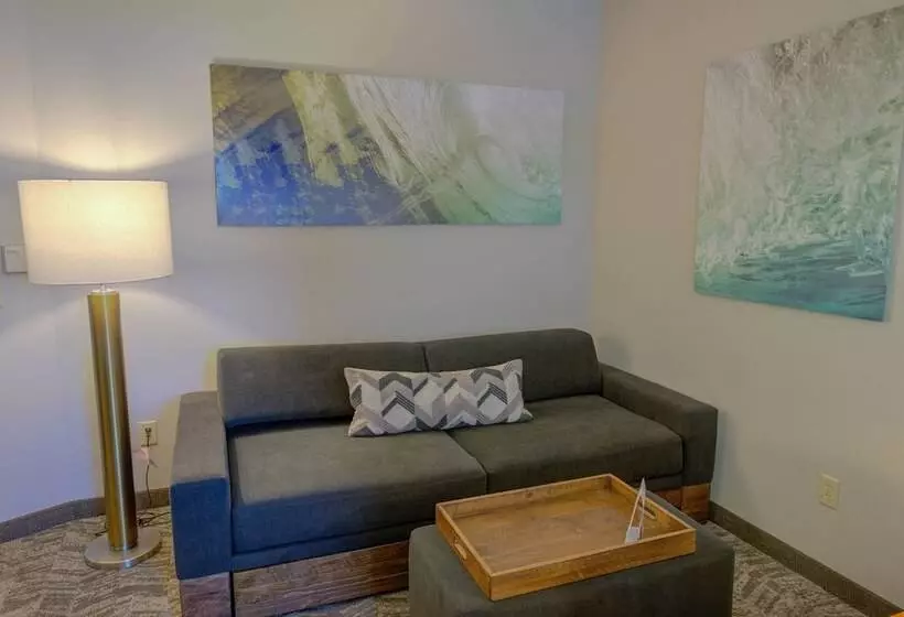 ダブルベッドのスタンダードスタジオ, Springhill Suites By Marriott Macon
