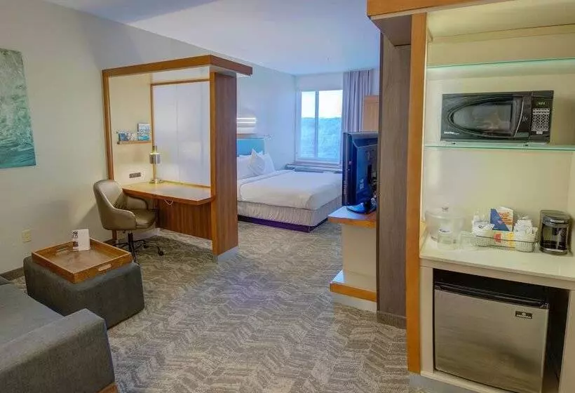 ダブルベッドのスタンダードスタジオ, Springhill Suites By Marriott Macon