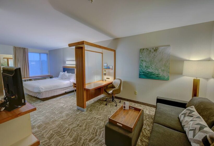 带双人床的标准工作室, Springhill Suites By Marriott Macon
