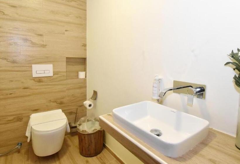 주니어 스위트, Ambassador In Paradise