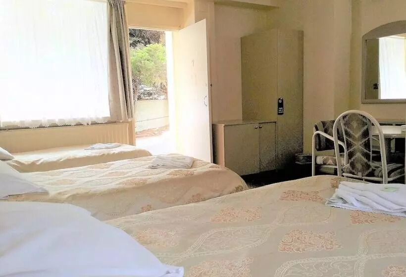 スタンダードルーム, The Clarendon Motel Katoomba
