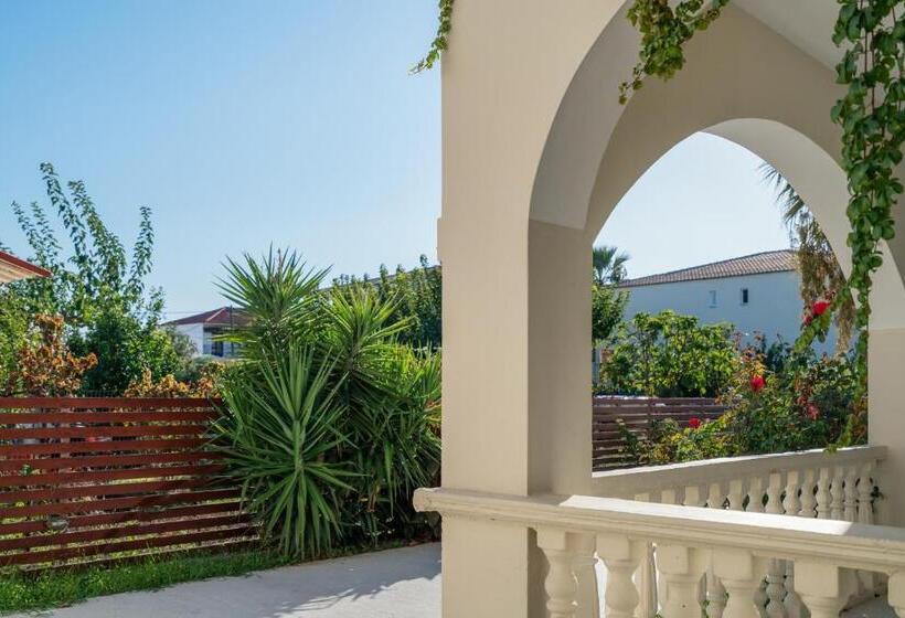 استودیوی استاندارد, Cactus