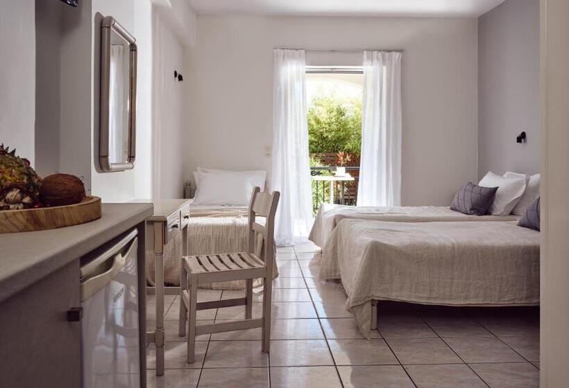 استودیوی استاندارد, Cactus