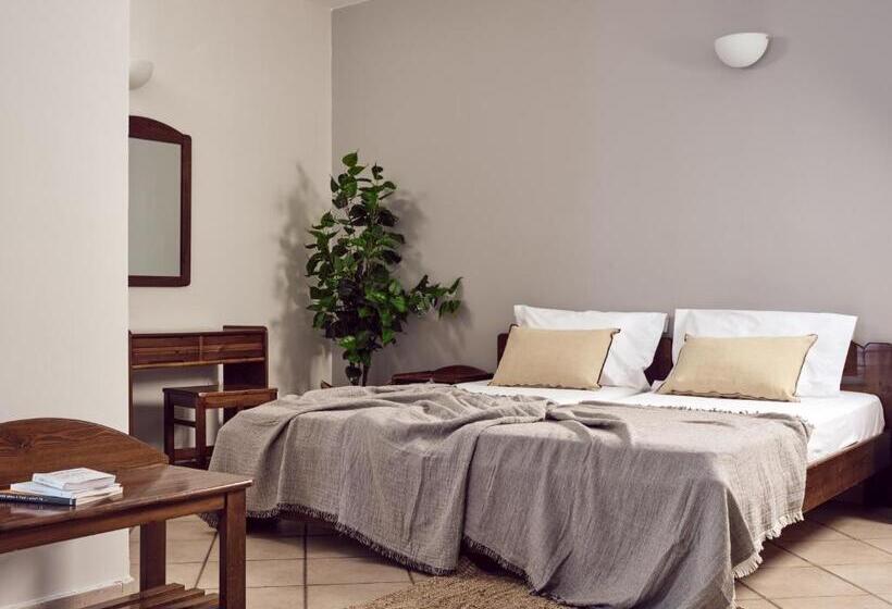 استودیوی استاندارد, Cactus