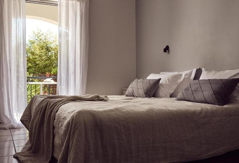 استودیوی استاندارد, Cactus