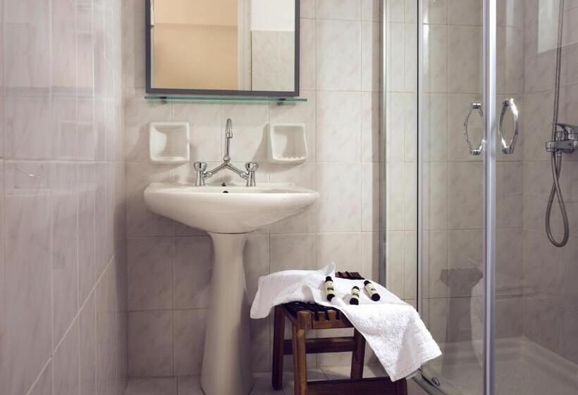 استودیوی سوپریور, Cactus