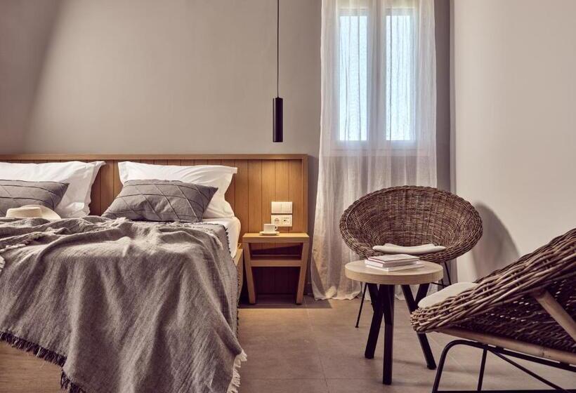 استودیو استاندارد با چشم‌انداز استخر, Cactus