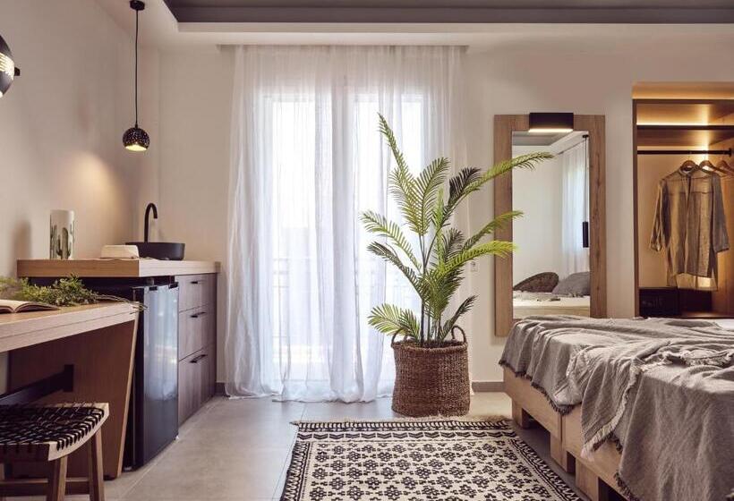 استودیو استاندارد با چشم‌انداز استخر, Cactus