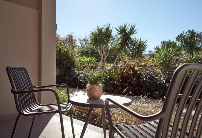 استودیوی لوکس, Cactus