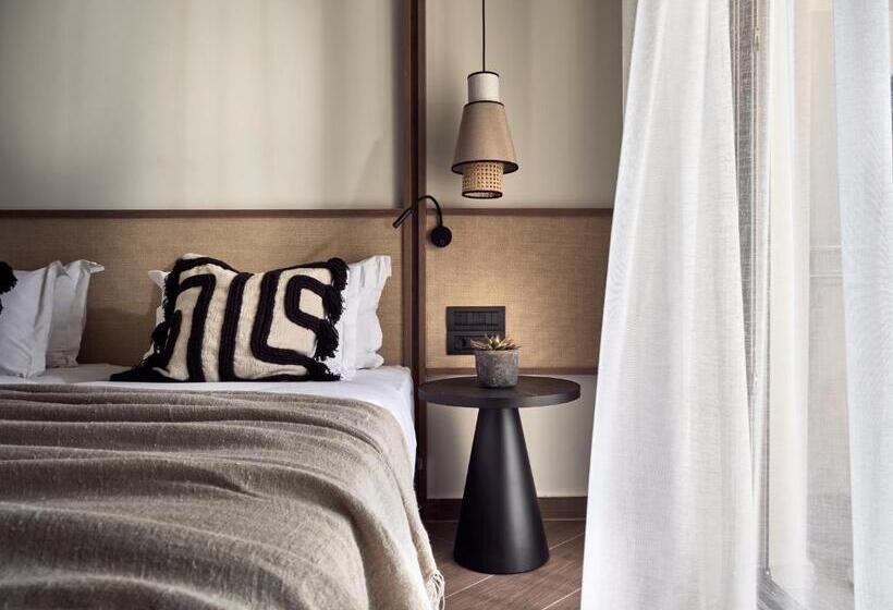 استودیوی لوکس, Cactus