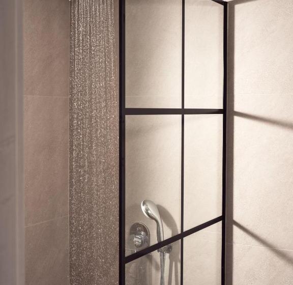 استودیوی لوکس, Cactus