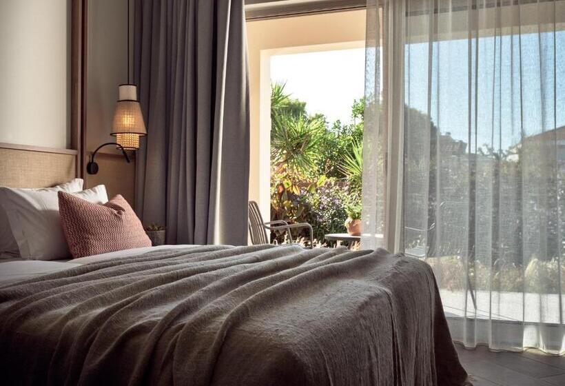 استودیوی لوکس, Cactus