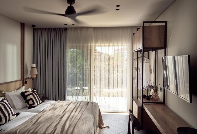 استودیوی لوکس, Cactus