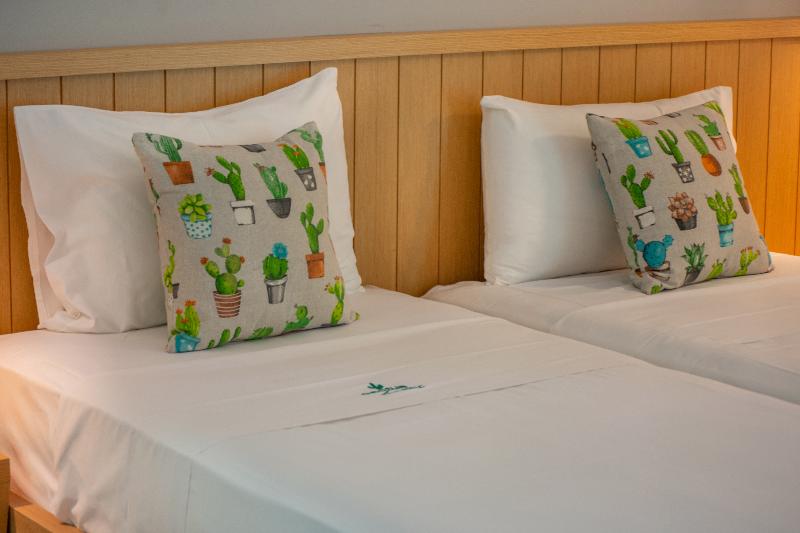 استودیو استاندارد با چشم‌انداز استخر, Cactus