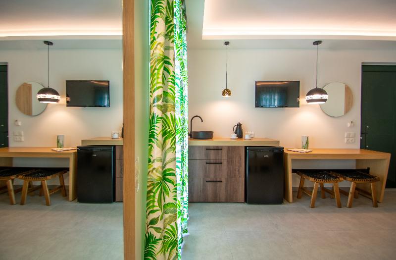 استودیو استاندارد با چشم‌انداز استخر, Cactus