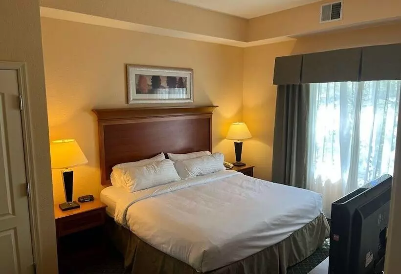 Sviitti, Wyndham Garden Otsegominneapolis