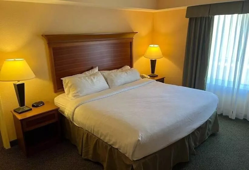 Sviitti, Wyndham Garden Otsegominneapolis