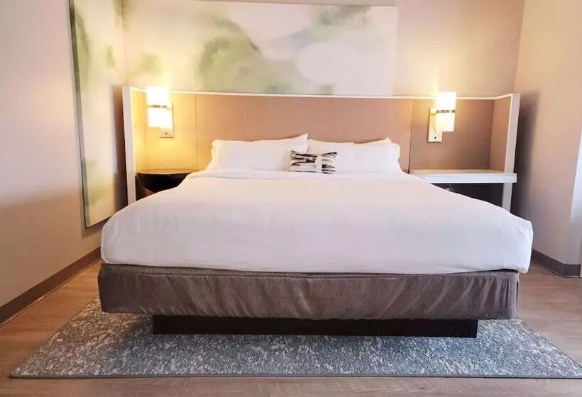 Sviitti, Wyndham Garden Otsegominneapolis