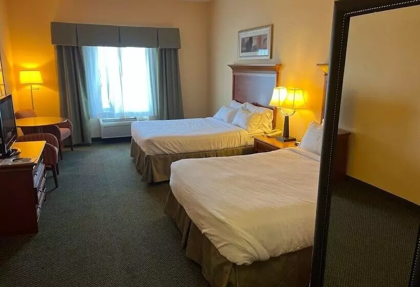 Sviitti Liikuntarajoitteisille, Wyndham Garden Otsegominneapolis