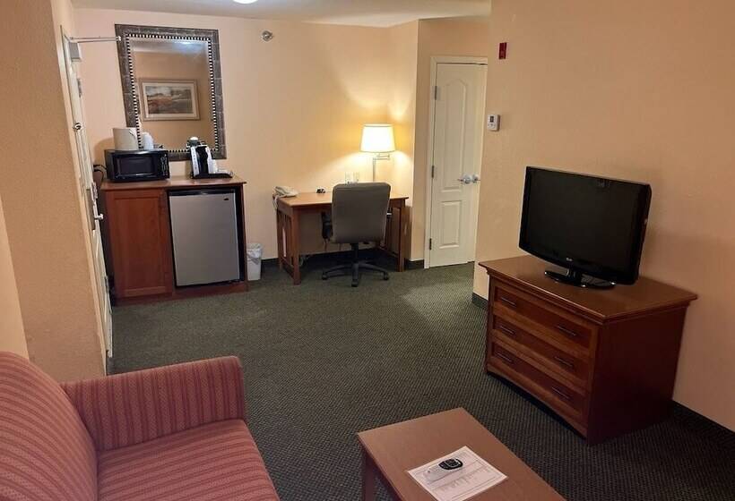 جناح لذوى الاحتياجات الخاصة, Wyndham Garden Otsegominneapolis