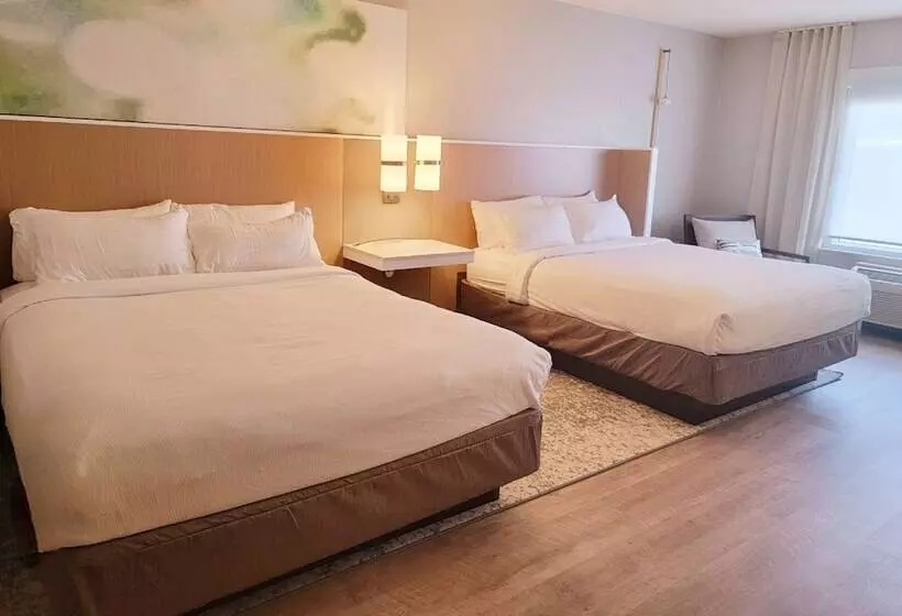 Sviitti Liikuntarajoitteisille, Wyndham Garden Otsegominneapolis