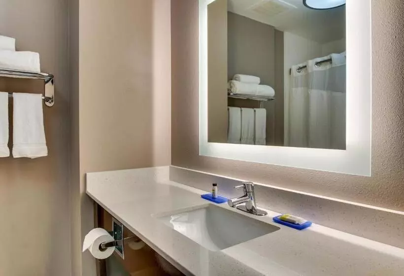 スタンダードルーム, Holiday Inn Express Hotel & Suites Columbus Fort Benning, An Ihg