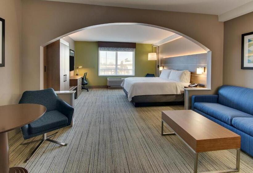 带大床的套房, Holiday Inn Express Hotel & Suites Columbus Fort Benning, An Ihg