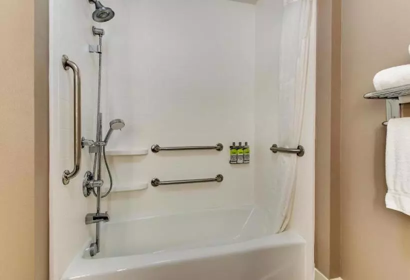 スタンダードルーム, Holiday Inn Express Hotel & Suites Columbus Fort Benning, An Ihg