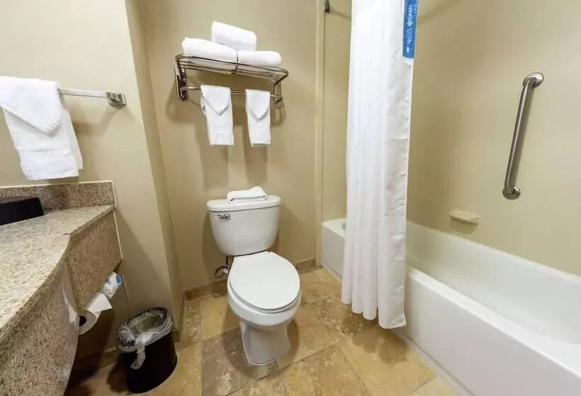 ２ダブルベッドのスタンダードルーム, Hampton Inn Martinsburg Southinwood