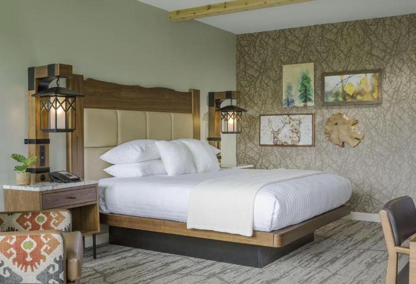 اتاق استاندارد با تخت بزرگ برای معلولان, High Peaks Resort