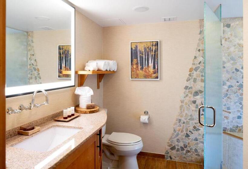 اتاق استاندارد با تخت بزرگ, High Peaks Resort