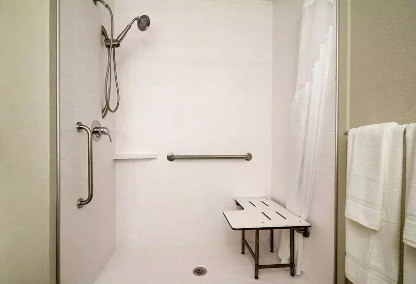 スイート, Holiday Inn Express Hotel & Suites Live Oak, An Ihg