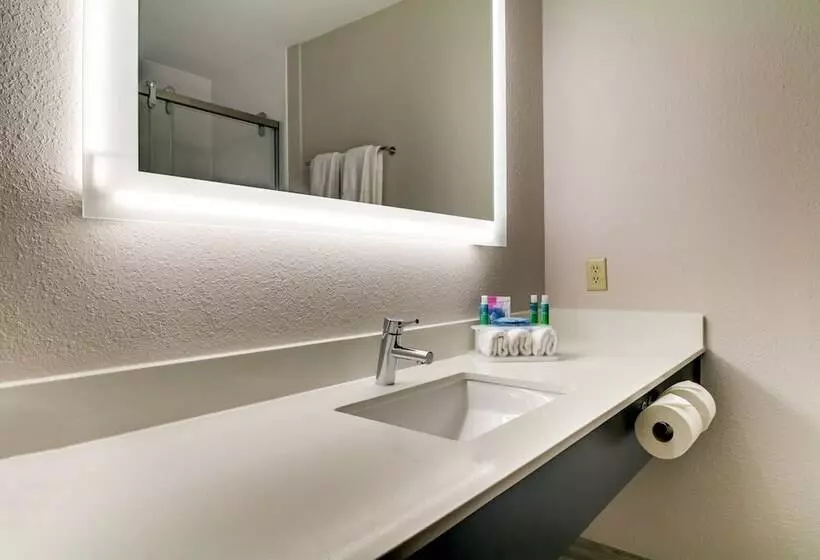 スイート, Holiday Inn Express Hotel & Suites Live Oak, An Ihg