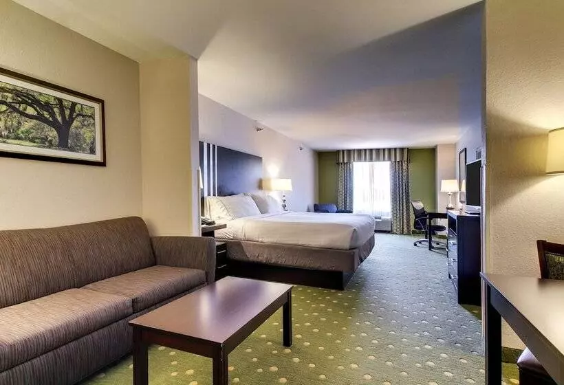 スイート, Holiday Inn Express Hotel & Suites Live Oak, An Ihg