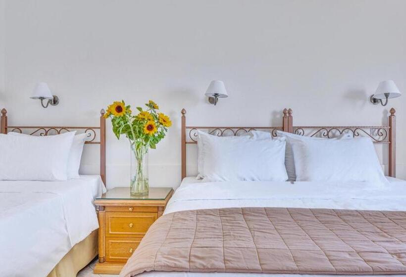 إستوديو سوبيريور, Socrates Hotel Malia Beach