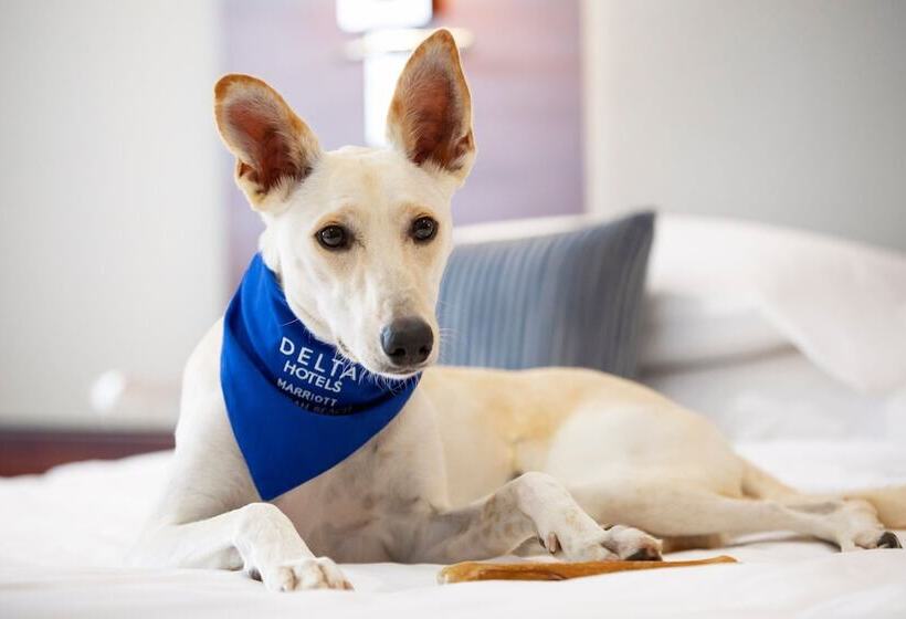 اتاق استاندارد, Delta Hotels By Marriott Jumeirah Beach, Dubai