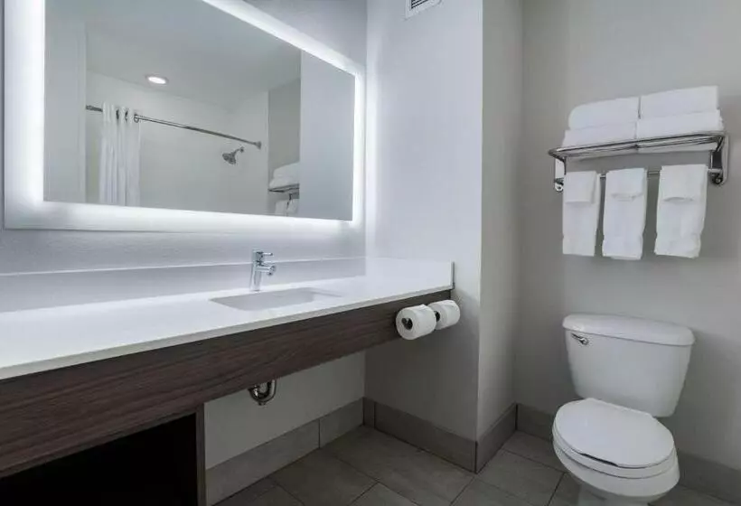 スイート, Holiday Inn Express Hotel & Suites Jasper, An Ihg