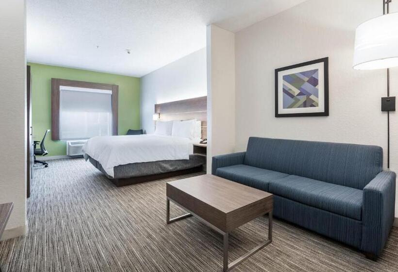 جناح سرير كينج, Holiday Inn Express Hotel & Suites Jasper, An Ihg