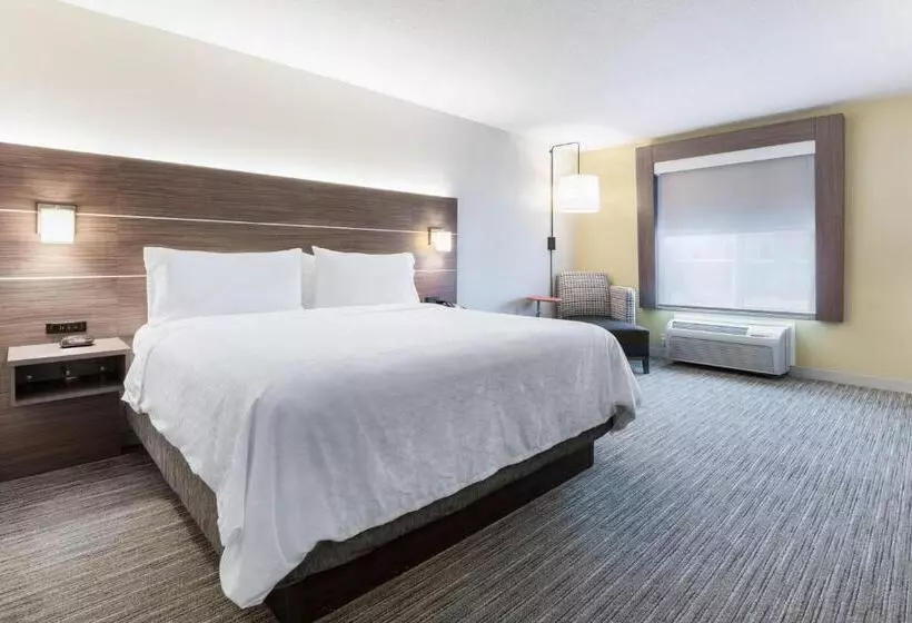 身障者適用キングサイズベッドルーム, Holiday Inn Express Hotel & Suites Jasper, An Ihg